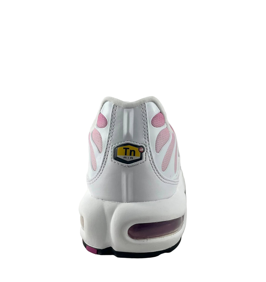 Chaussure Nike AIR MAX + TN